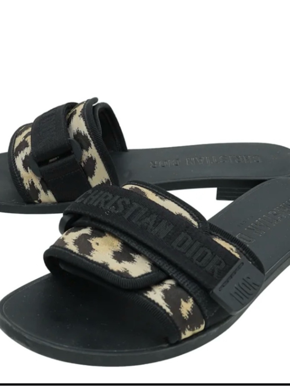DIOR (R)evolution Slides Leopard